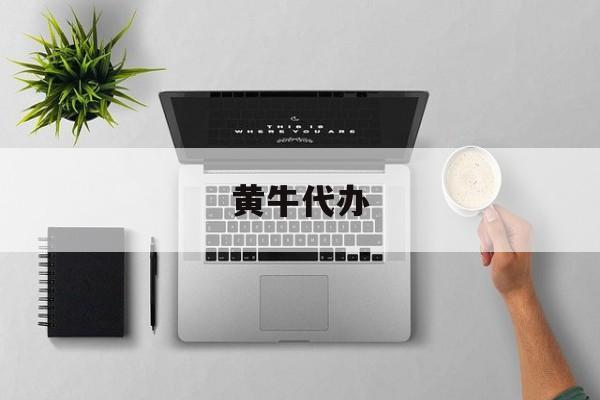 最新黄牛代办方法分析(最方便真实的阿里黄牛代办违章扣6分多少钱方法)